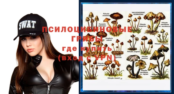 spice Абаза