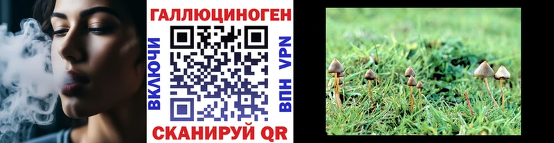 купить наркоту  Староминская  Псилоцибиновые грибы мухоморы 